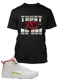 Trust No One Sneaker Tee Shirt To Match Air J12 FIBA Shoe Mens TShirt Big Tall