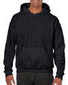 Hoodie (Adult)