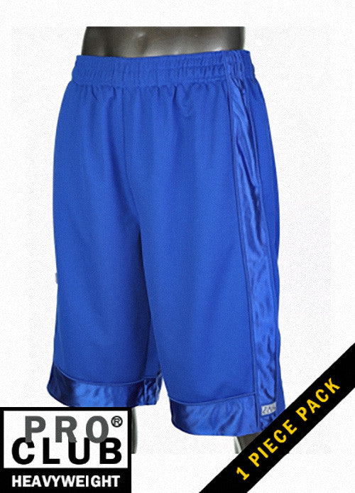 Royal Blue “2 Faced Risky” mesh shorts